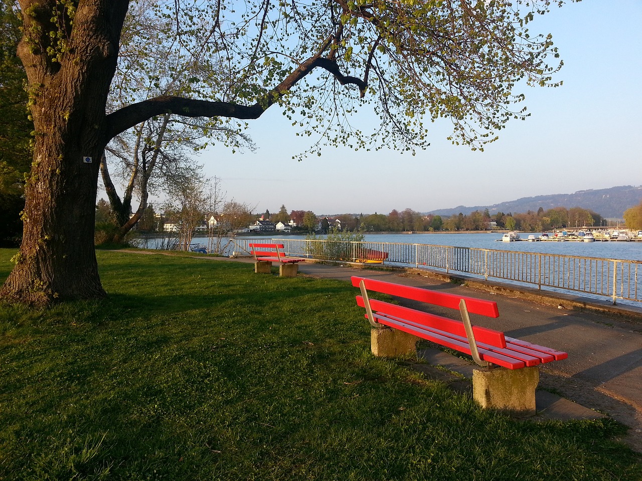 这种情况立 这种情况立