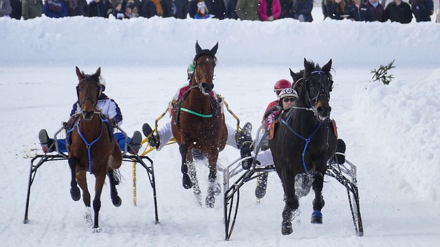 了他的球场 了他的球场