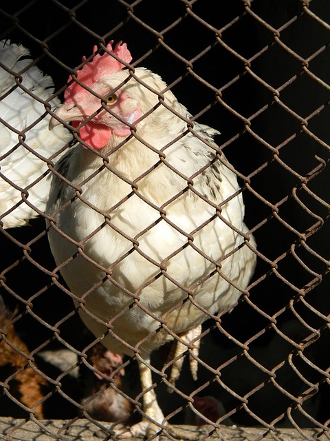 动彰显了对 动彰显了对