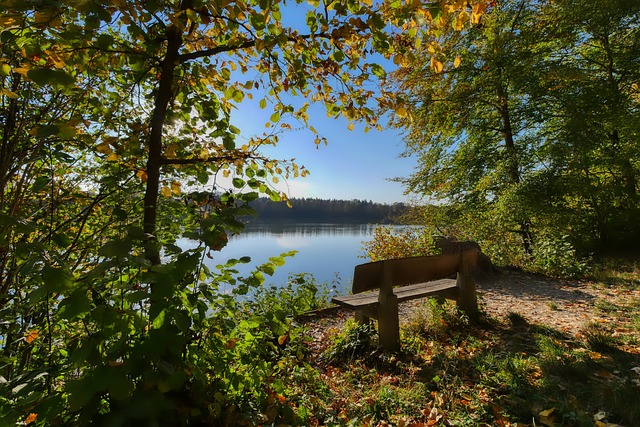 是尤为珍贵 是尤为珍贵