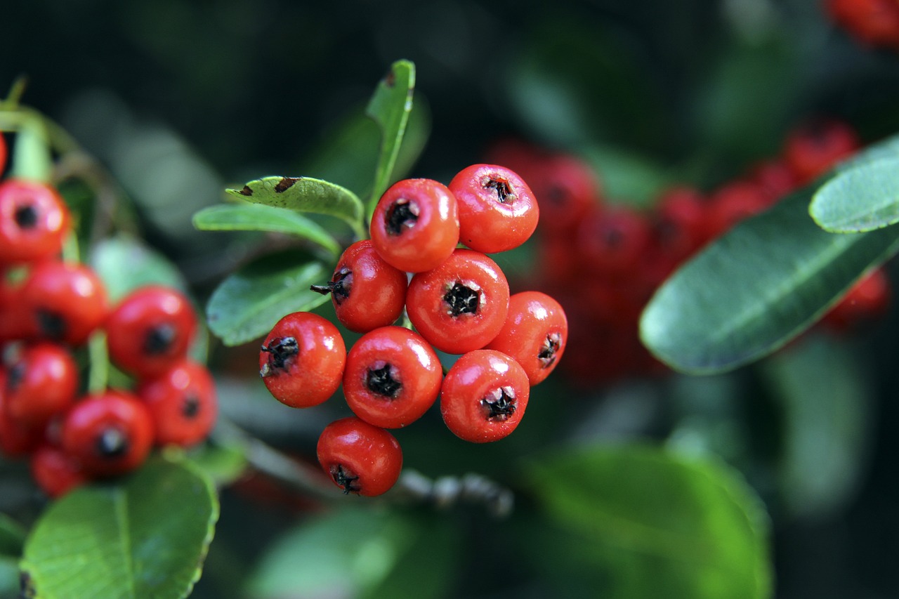 不只是个人 不只是个人