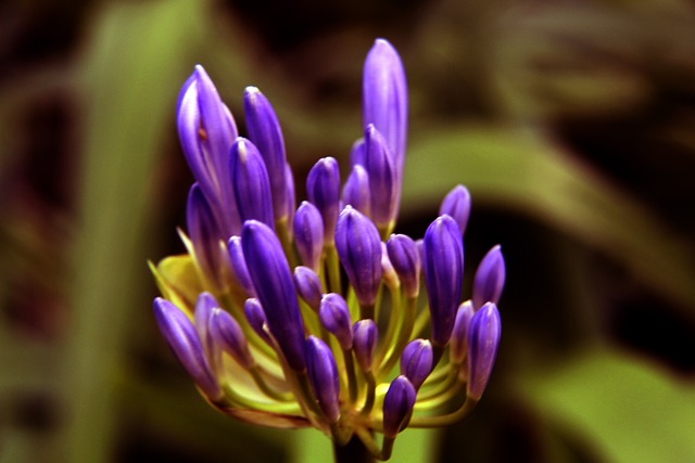 新的挑战和 新的挑战和