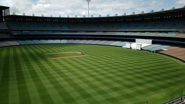 需要的各个 需要的各个